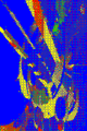 Thumbnail for version as of 01:39, 28 January 2011